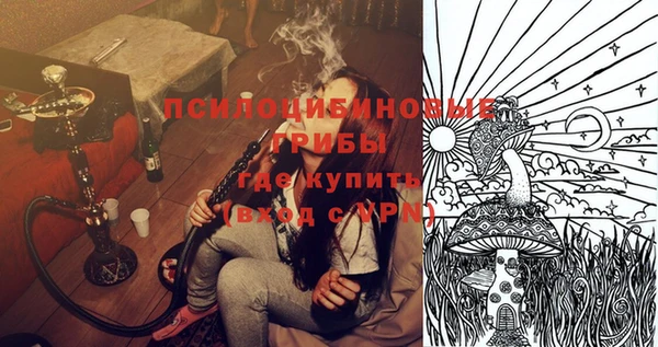наркотики Бородино