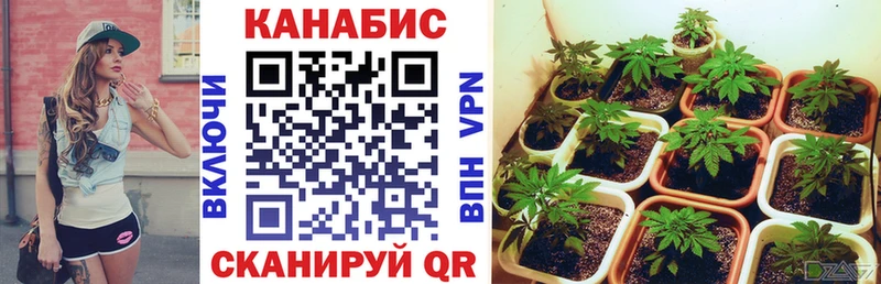 Шишки марихуана THC 21% Подольск